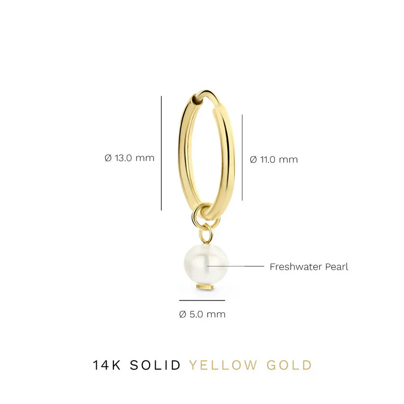 Delia Crest Øreringe | Guld