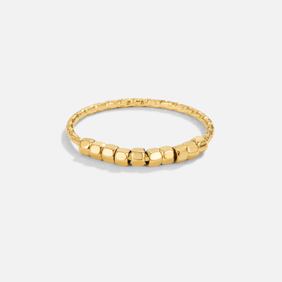 Alisons Fidget Charm Ring
