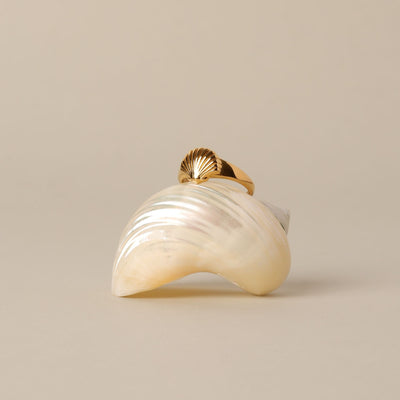 Éclat Marin – Elegant Ring